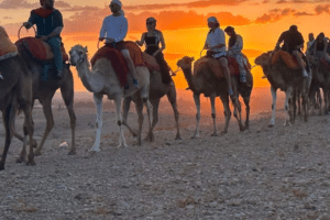 Pack : Quad, Dromadaire et Dîner Spectacle au Désert d’Agafay